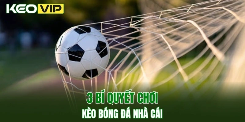 Kèo Nhà Cái World Cup - Bí Kíp Bắt Kèo Chuẩn Năm 2025 4 3 bí quyết chơi kèo bóng đá nhà cái