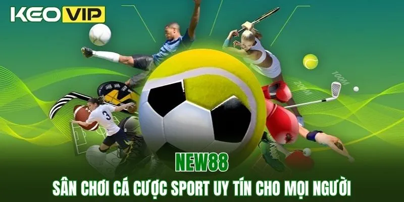 New88 - Sân Chơi Cá Cược Sport Uy Tín Cho Mọi Người 1 New88
