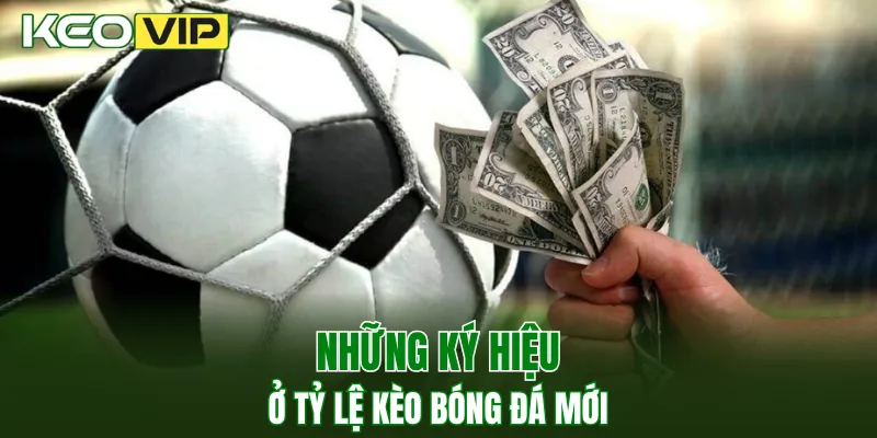 Kèo Bóng Đá Hôm Nay Ngoại Hạng Anh - Cập Nhật Tỷ lệ 3 Những ký hiệu ở tỷ lệ kèo bóng đá mới