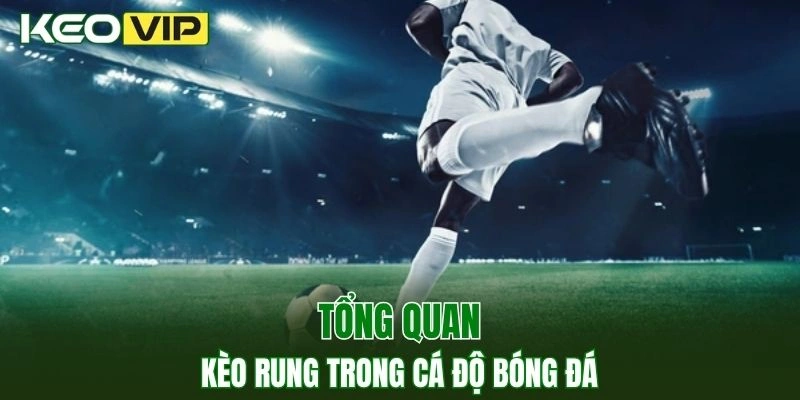 Kèo Nhà Cái World Cup - Bí Kíp Bắt Kèo Chuẩn Năm 2025 2 Thông tin về kèo rung trong cá độ bóng đá