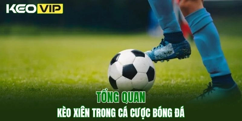 Kèo Bóng Đá Hôm Nay Ngoại Hạng Anh - Cập Nhật Tỷ lệ 2 Thông tin về kèo xiên trong cá cược bóng đá