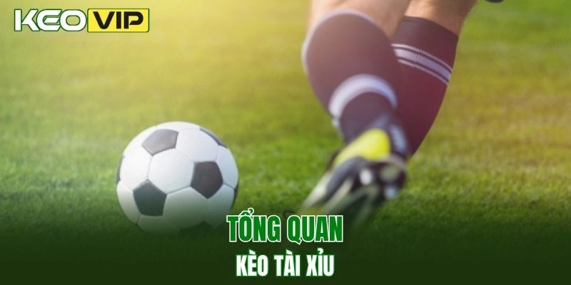 Kèo Nhà Cái World Cup - Bí Kíp Bắt Kèo Chuẩn Năm 2025 2 Tìm hiểu về kèo tài xỉu