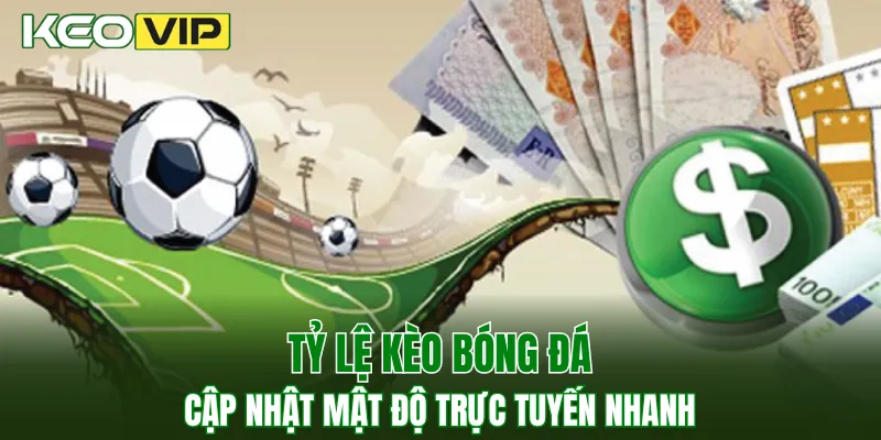 Tỷ Lệ Kèo Bóng Đá - Cập Nhật Mật Độ Trực Tuyến Nhanh 1 Tỷ lệ kèo bóng đá